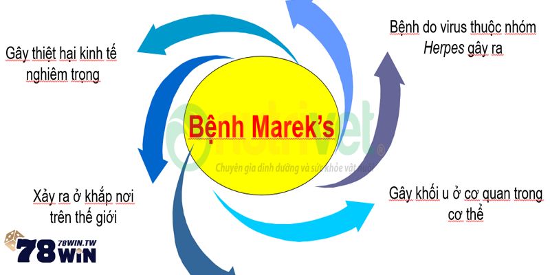 Giới thiệu đôi nét về bệnh marek ở gà