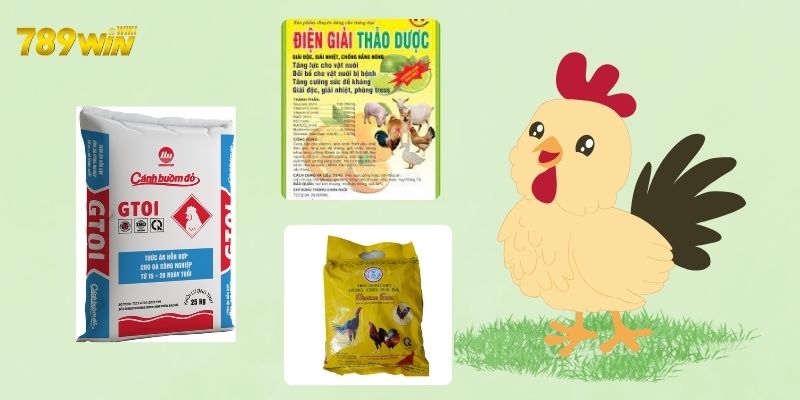 Các sản phẩm vi sinh phụ gia cho gà